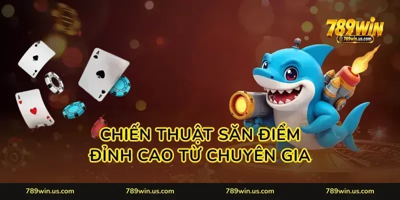 Chiến thuật săn điểm đỉnh cao từ chuyên gia