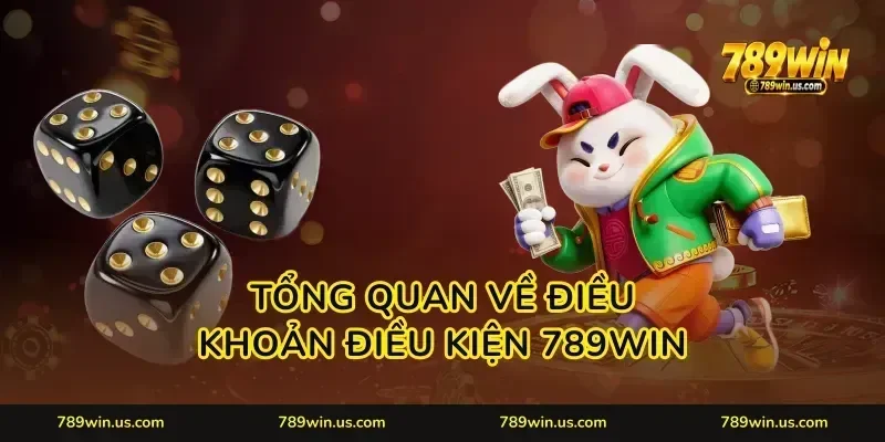 Tổng quan về điều khoản điều kiện 789WIN