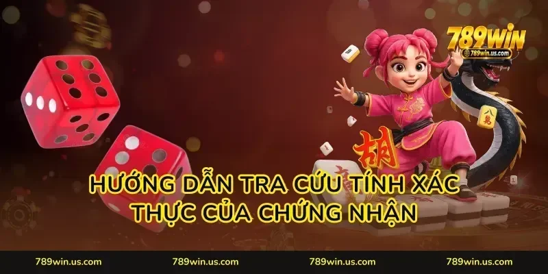 Hướng dẫn tra cứu tính xác thực của chứng nhận