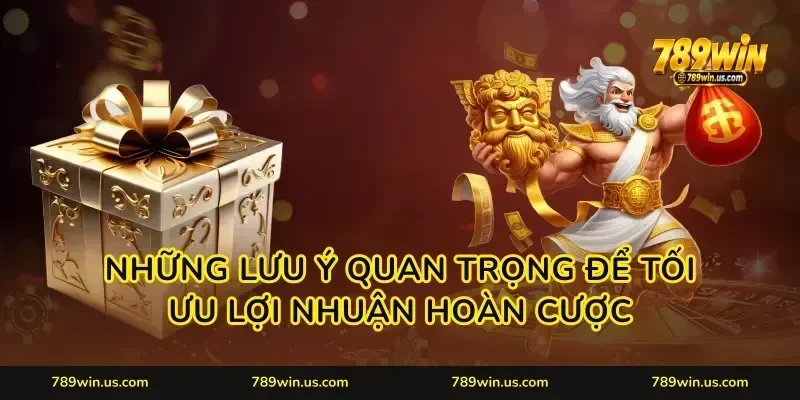 Những lưu ý quan trọng để tối ưu lợi nhuận hoàn cược