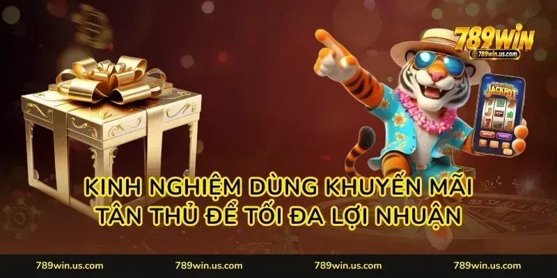 Kinh nghiệm dùng khuyến mãi tân thủ để tối đa lợi nhuận