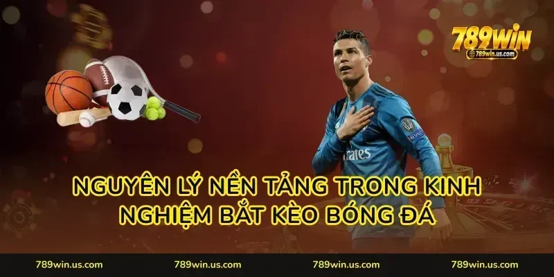 Nguyên lý nền tảng trong kinh nghiệm bắt kèo bóng đá