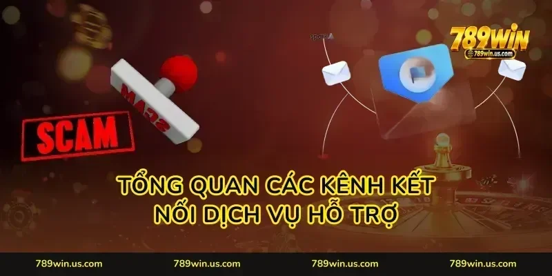Tổng quan các kênh kết nối dịch vụ hỗ trợ