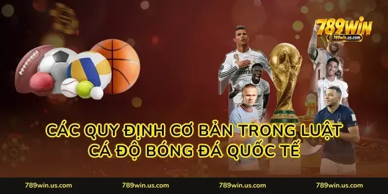 Các quy định cơ bản trong luật cá độ bóng đá quốc tế