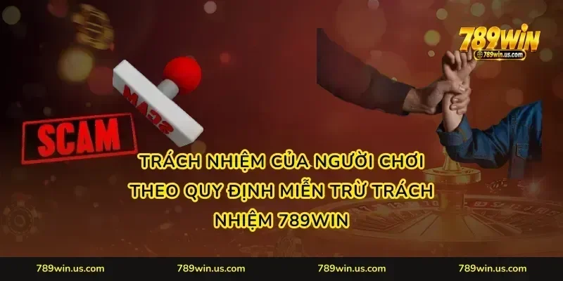 Trách nhiệm của người chơi theo quy định Miễn trừ trách nhiệm 789WIN